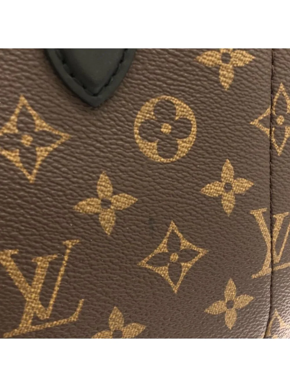 Louis Vuitton Monogram Flower Tote